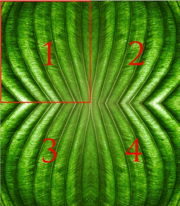 Creation of Green Shape: Step 1